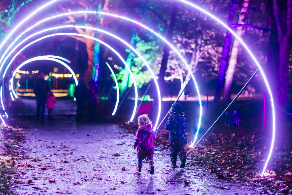 Home - Christmas At Bute Park - Cymraeg