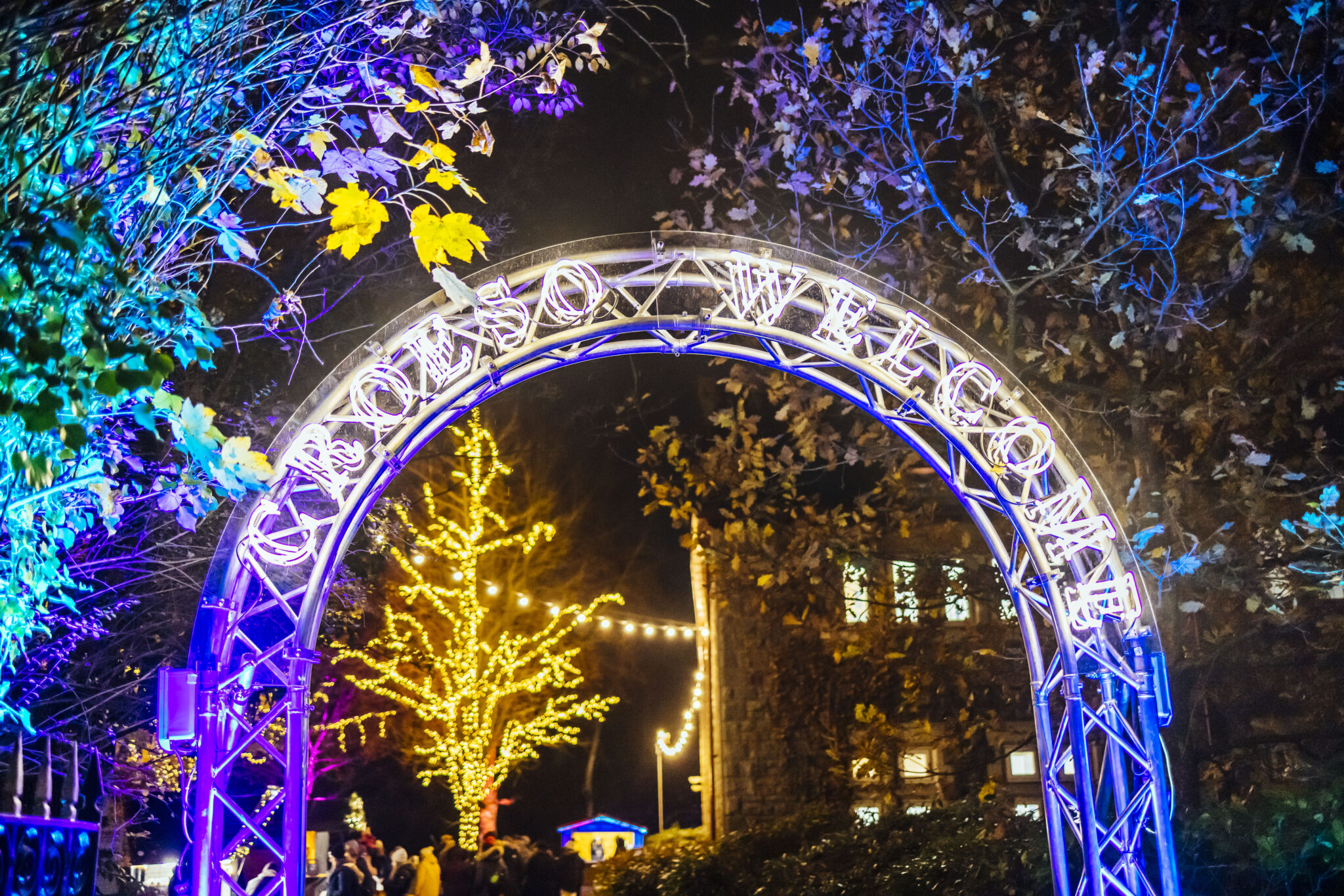 Home Christmas at Bute Park Cymraeg